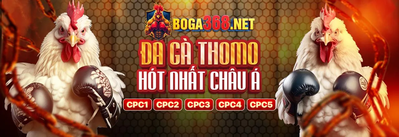 Ứng dụng VIP678 Nhà Cái trên điện thoại di động