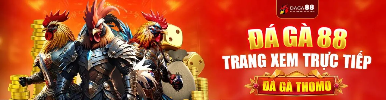 Đá Gà Trực Tuyến tại vip678 nhà cái