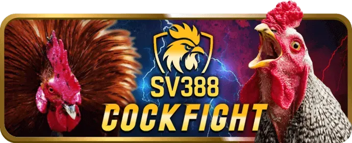 Chơi có trách nhiệm vip678 nhà cái